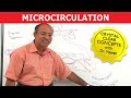 Microcirculation in Capillaries