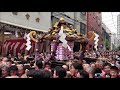 三社祭【喧嘩・乱闘・怒号・救急車】　渡御～宮入り　2024年浅草神社例大祭　本社神輿　5月19日　東京都台東区　木遣り三本締め