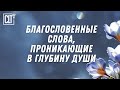 Идеально для прослушивания и размышления днем, наслаждаясь красивым видео на большом экране | Библия