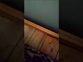 Broken bed