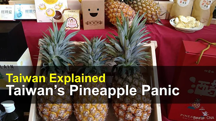 Taiwan’s Pineapple Panic | Taiwan Explained, Mar. 4 2021 | Taiwan Insider on RTI - DayDayNews