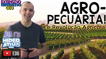 Quais as principais características da agropecuária brasileira?