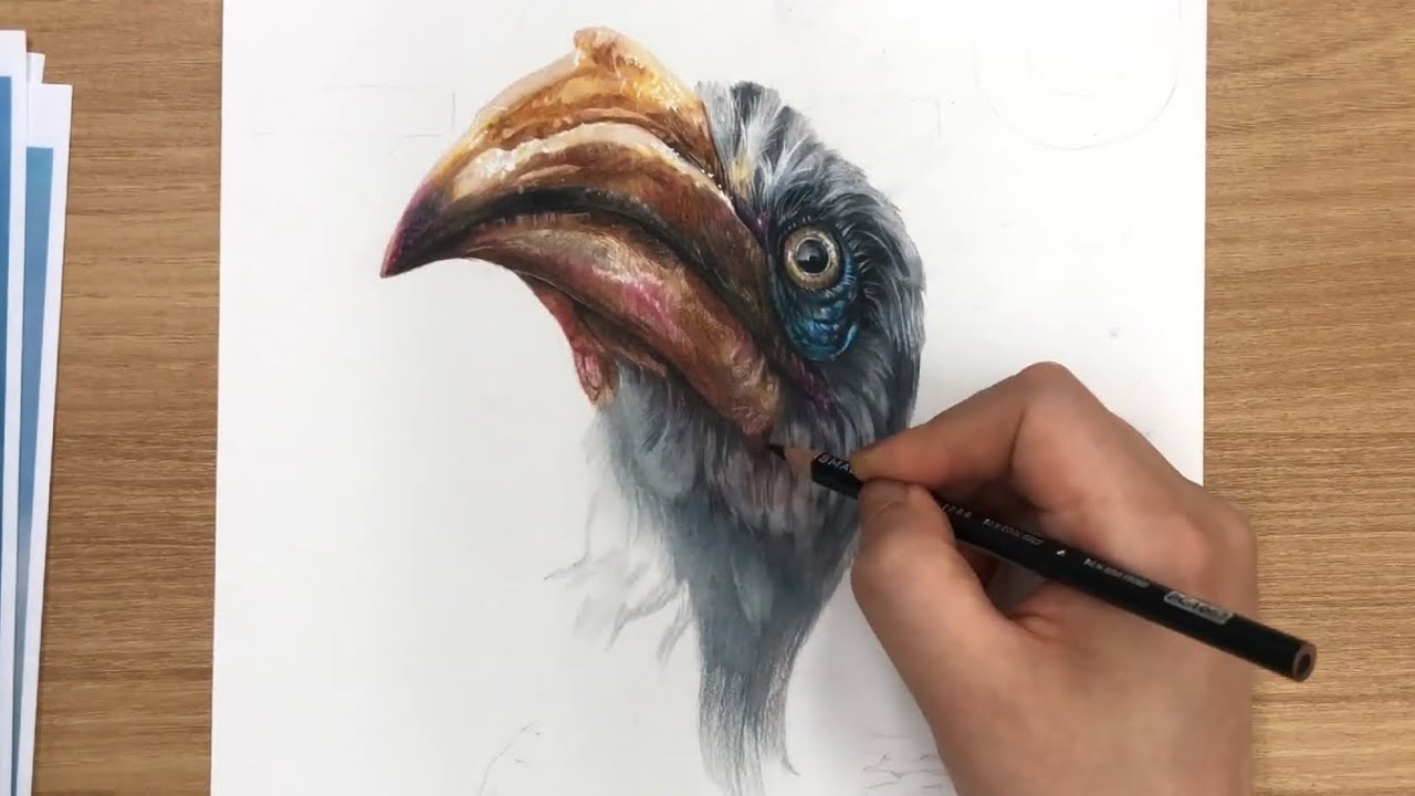 4K ( LION KING - ZAZU drawing ) 라이온킹 자주 색연필 드로잉 - YouTube