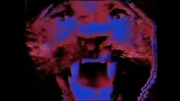 Manimal (1983) Official Intro Sequence.mp4