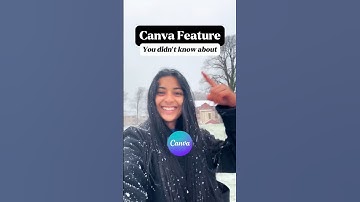 CANVA Tutorial | How to put an outline in your image