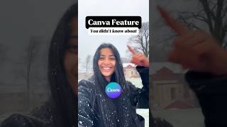 CANVA Tutorial | How to put an outline in your image