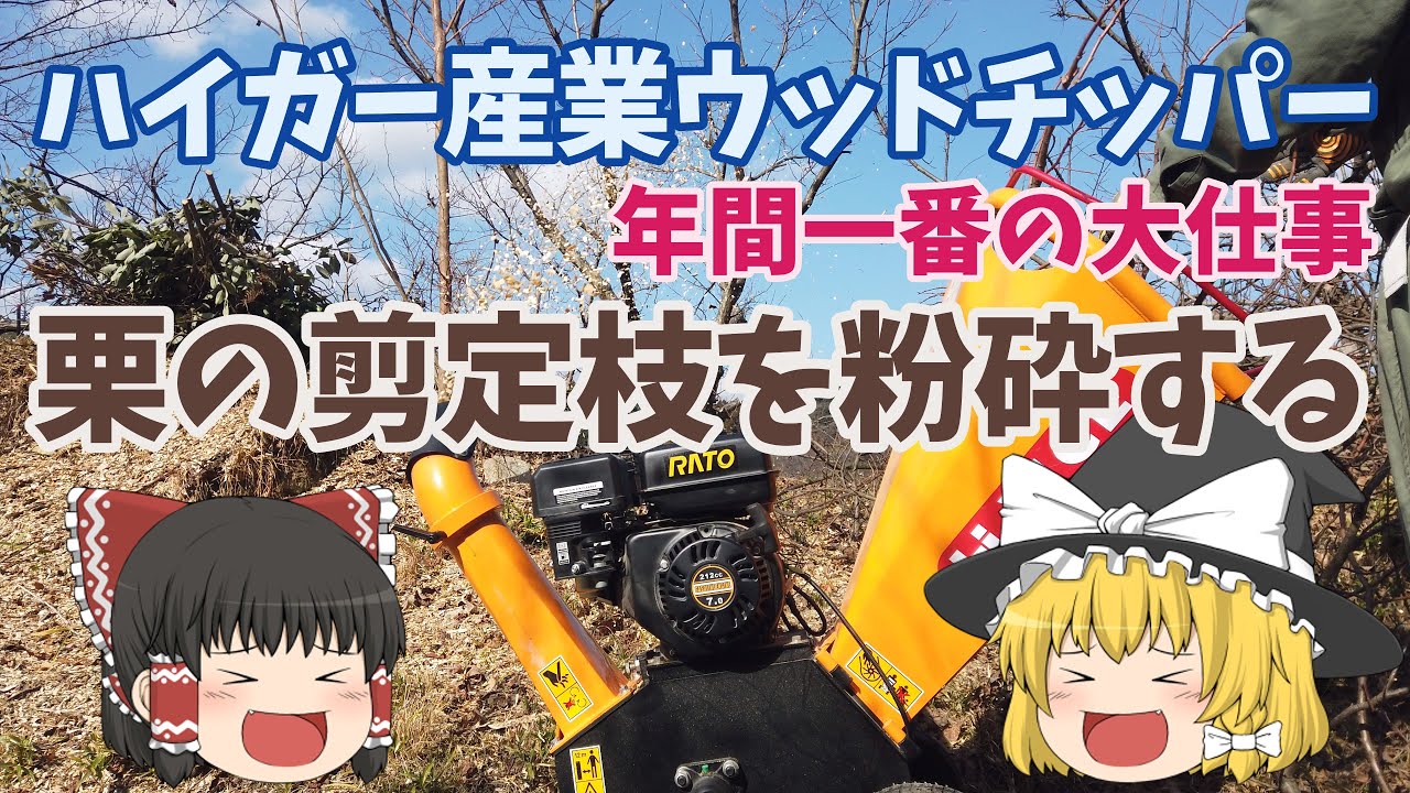 ハイガー産業ウッドチッパー、年間一番の大仕事 栗の剪定枝の粉砕を