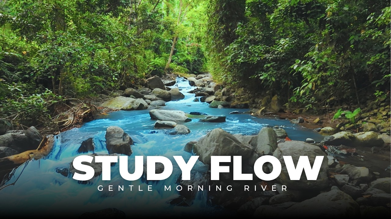 Gentle Morning River Sounds for Study & Focus (No Music) – Peaceful Forest Ambience.