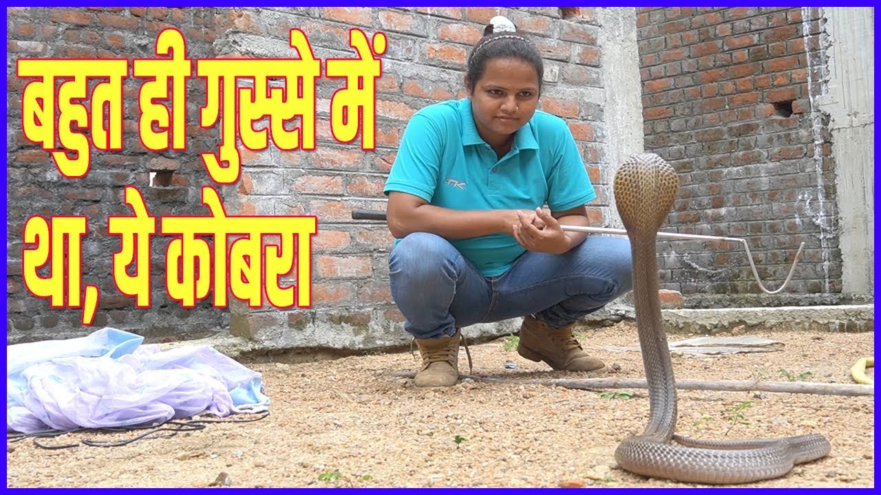 snake in the city girl name || Cobra dropped in the tank was very angry||Kamal Choudhary No.9755695959 and 9098099964