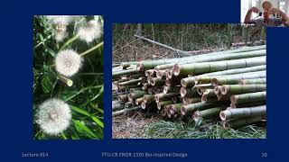 Bio inspired Design: lecture video - structures