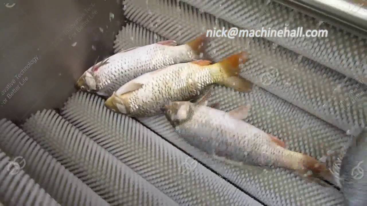 How To Easily Descaling A Fish, Fish Descaling Machine