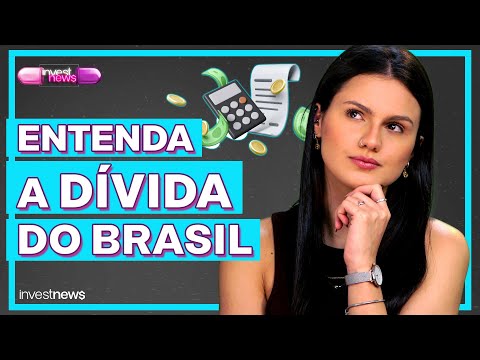 Por que a dívida pública caiu para 73,5% do PIB em 2022?