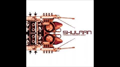 Shulman - In Search Of A Meaningful Moment 2003 (Full Album)