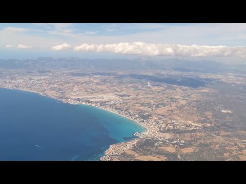 Video: Palma Ombrellë, Ose Corypha