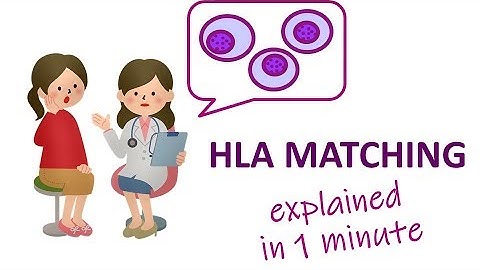 HLA Matching in Transplantation - Elevator Pitch