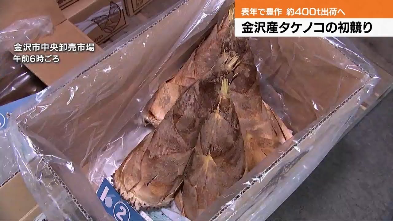 Kaga vegetables and bamboo shoots first auction of the year - YouTube