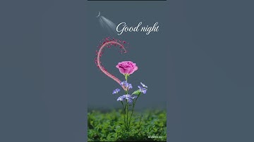 Thumbnail of good night romantic roses flower status💕🥰#goodnight#goodnightstatus#rose#shorts#ytshorts#viral