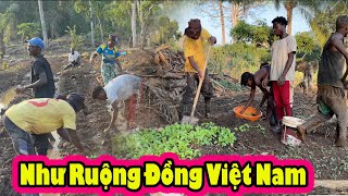 Team Châu Phi 2Q vlogs bắt đầu vào mùa trồng rau cải như thế nào? ||2Qvlogs