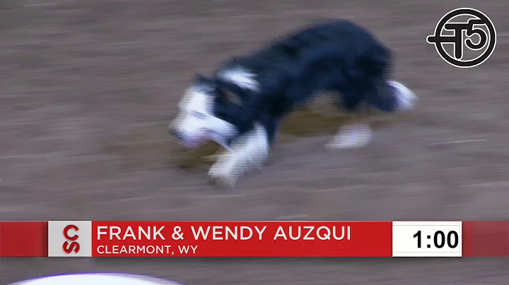Wyoming dog and handler duo take home top prize in the Calgary Stampede World Stock Dog Championship