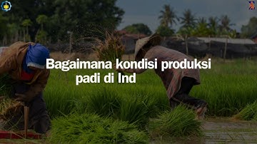 Kondisi Sektor Pertanian Padi Indonesia Tahun 2013 - 2022 | Project Dashboard R-Shiny