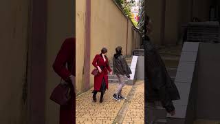 Thumbnail for Balcony Dog Plays Fetch with Passing Strangers #shorts