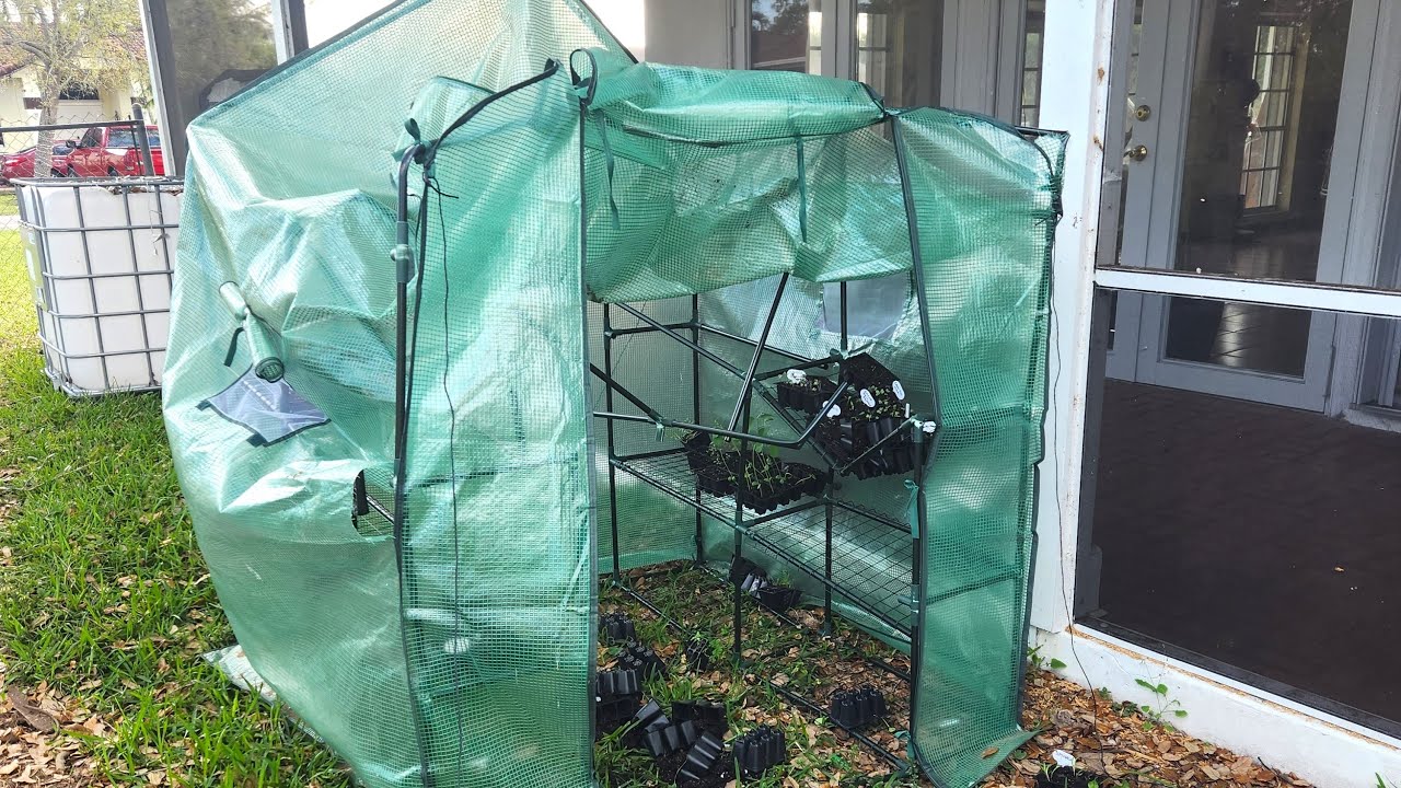 Is a Greenhouse worth it in South Florida? YouTube