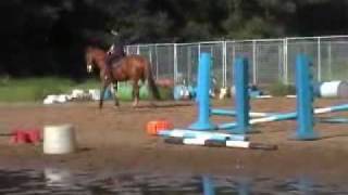 Ed and Ollie - cantering
