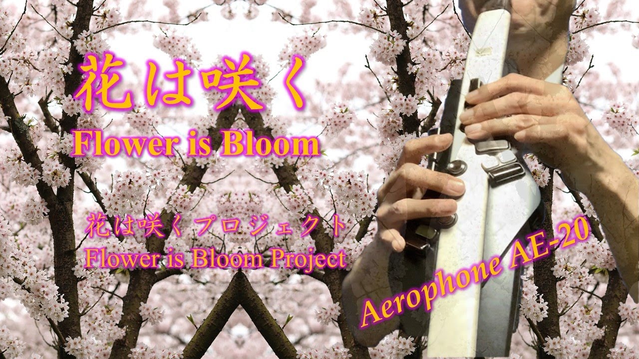 花は咲く Flowers will Bloom/ 花は咲くプロジェクト Flowers Bloom Project