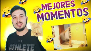 MEJORES MOMENTOS DE Sohx -Mejores Momentos Twitch España [CLIPS]