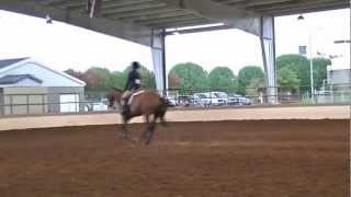 2012 Southern Regional 4 -H Practice Ring