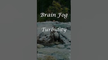 Take A Scroll Break | One Minute Guided Meditation