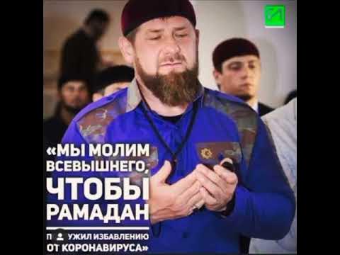 ШЕФ И ТУРЛАЕВ - YouTube
