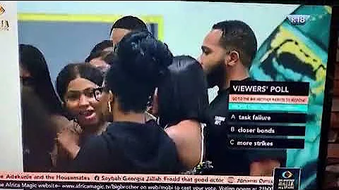 BBNAIJA ALL STARS: Biggie's parrot exposed housemate