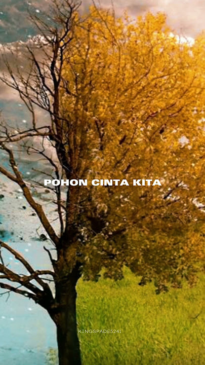 Cinta Gunawan