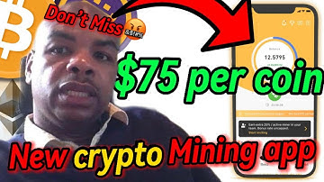 Mine Crypto on Your Mobile Phone🤑⛏️ Bee Network | New Crypto Mining App Free | Bitcoin Mining App
