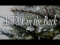 A walk in the back 2017