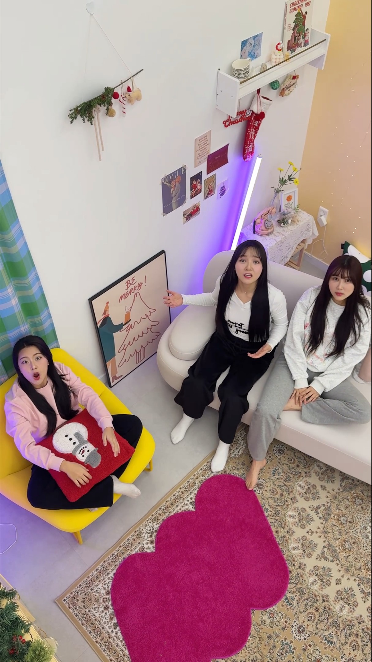 고양이의 시점?