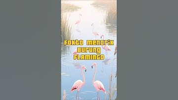 fakta menarik burung flamingo 🦩!!! #faktaunik #informasiunik #faktamenarik #faktahewan