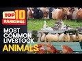 🌍 Top 10 MOST COMMON FARM ANIMALS in the World (2025 Update) | Livestock Population Countdown