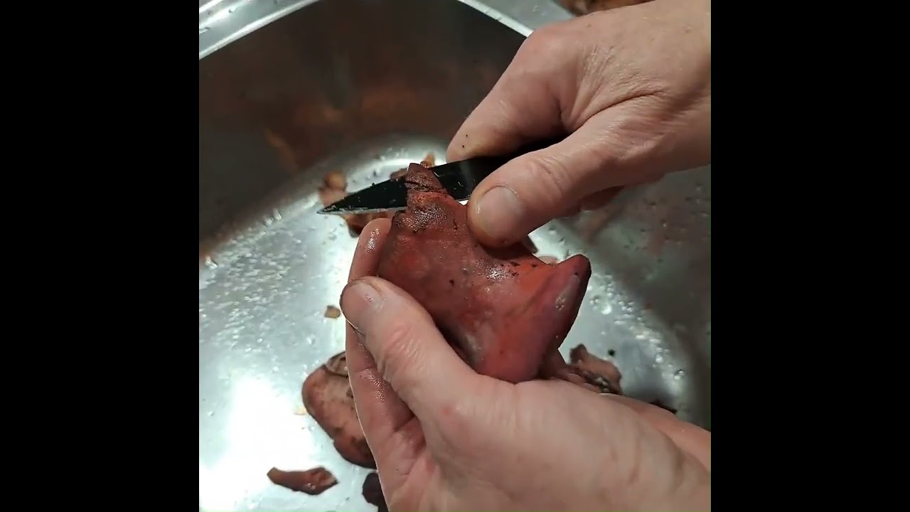 Steak de langue de boeuf (FISTULINA HEPATICA)