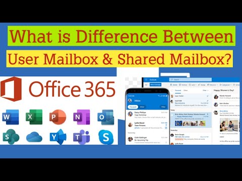 Office 365 User
