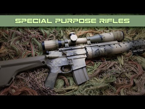 Mk12 SPR - A Really Cool Rifle