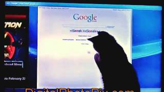 Cat and mouse (pointer) on Google