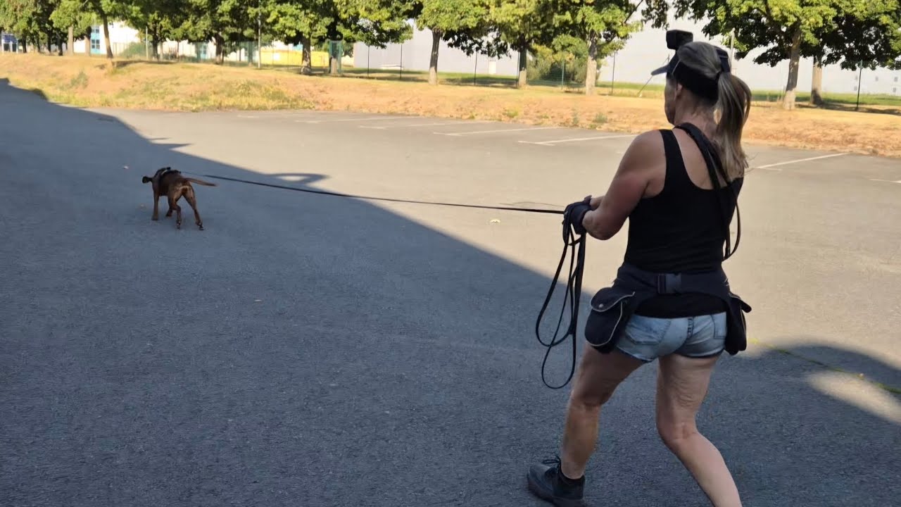 Ein Match zwischen Spurverlauf, Verwehungen und Thermik