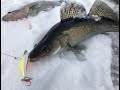 Судаки на ратлины. Рыбалка в Финляндии