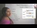 Molecular biology if inheritance class - 12 Transcription in prokaryotes