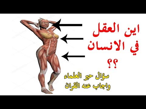 فيديو: هل العقلي موجود بالفعل؟