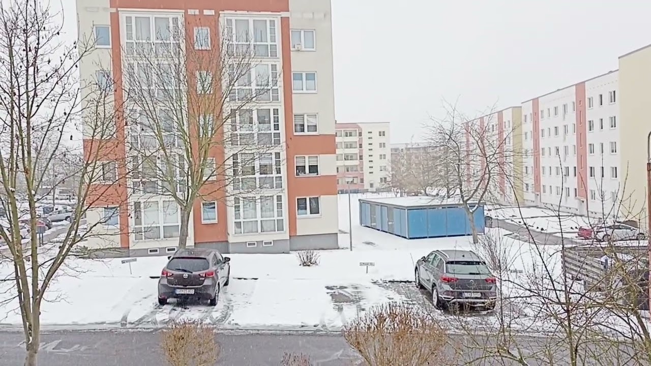 Leichter schneefall in Grimma heute am 16.02.2026 ❄️❄️❄️ kaltfront 