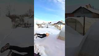 jumped into the snow / saltó a la nieve / बर्फ में कूद गया