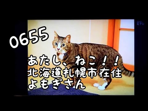 わが輩は 犬 松本素生 Youtube